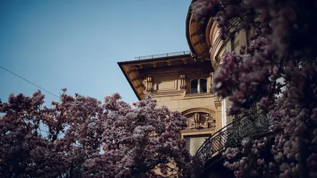 Villa Streccius Landau