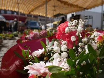 Ein bunter Blumenstrauß mit pinken und weißen Blumen. Im Hintergrund sind Marktstände und Menschen zu sehen.
