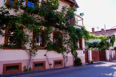 Weingut Rummel Nußdorf