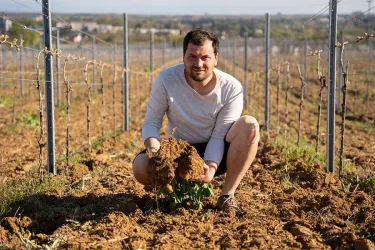 Winzermeister Karl Rummel