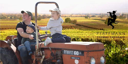 3 Jungs mit Traktor mit HG für SÜW (© Weingut Thomas Pfaffmann)