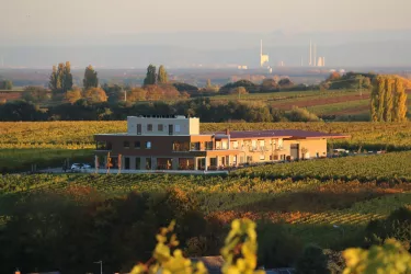 WeinNest
