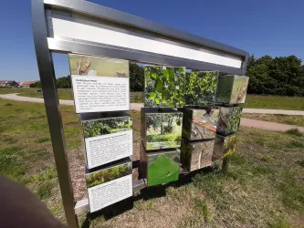 Ein Informationsschild im Freien, das verschiedene Bilder und Texte über die Umwelt zeigt. Die Darstellung ist modern und steht auf einer grünen Wiese.