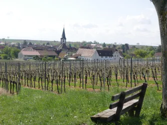 Blick auf Wollmesheim
