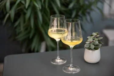 Zwei Weingläser mit hellgelbem Wein stehen auf einem Tisch. Im Hintergrund sind grüne Pflanzen und ein kleiner Blumentopf zu sehen.