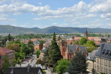Impression Landau von oben (© Stadt Landau)