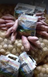 Orignal Mörlheimer Kartoffeln