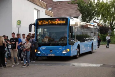 Ein blauer Bus mit der Aufschrift "521 Zoo Schoppenbus" hält an einer Haltestelle. Eine Gruppe von Menschen wartet, um einzusteigen.
