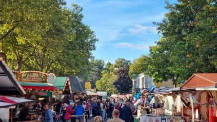 Ein geschäftiger Markt mit vielen Besuchern und bunten Ständen. Die Bäume spenden Schatten an einem klaren, blauen Himmel.
