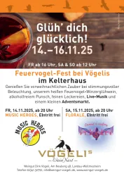Screenshot Feuervogel fest flyer
