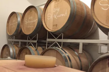 Weinkeller (© Weingut Gerhard Hochdörfer)