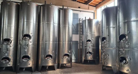 Weinkeller Hochdörfer (© Weingut Gerhard Hochdörfer)