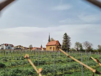 Blick hinauf zur Nepomuk Kapelle