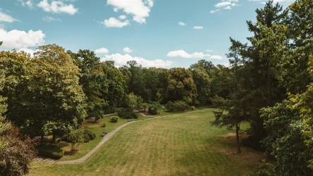 Eine grüne Parklandschaft mit vielen Bäumen und einem klaren blauen Himmel. Der Boden ist mit kurzem Gras bedeckt und ein schmaler Weg schlängelt sich durch die Wiese.