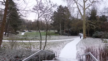 Goethepark im Winter
