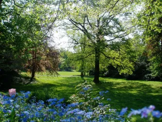 Goethepark im Frühling