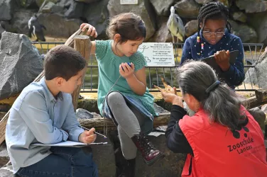 Zoosafari