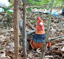 Ein buntes Plüschhuhn sitzt zwischen Bäumen im Wald. Der Boden ist mit Laub bedeckt und im Hintergrund sind unscharfe Gegenstände zu sehen.