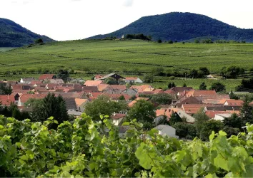 Landau Wollmesheim (© Stadt Landau in der Pfalz)