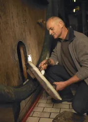 Weingut Sauer Fass (© Weingut Sauer)