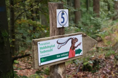 Waldlehrpfad Station 5 (© Stadt Landau)