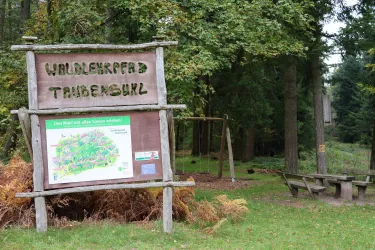 Waldlehrpfad Taubensuhl (© Stadt Landau)