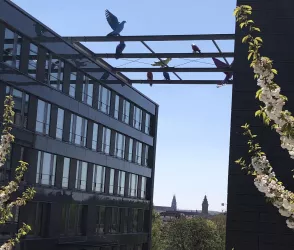 Universität Landau-Koblenz