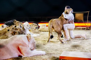 Ein Zirkusvorführer umarmt einen Löwen, während eine Gruppe von Löwen ruhig im Hintergrund liegt. Die Szene spielt sich in einem beleuchteten Zirkuszelt ab.