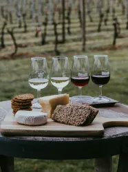 Ein rustikales Holzbrett mit verschiedenen Käsesorten und Knäckebrot. Im Hintergrund stehen mehrere Weingläser mit Weiß- und Rotwein vor einer Weinlandschaft.