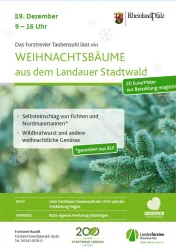 Ein Werbeplakat für eine Veranstaltung im Forstamt Haardt. Es werden heimische Nadelbäume und winterliche Getränke angeboten.