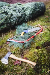 Werkzeuge liegen auf dem moosbewachsenen Boden, darunter eine Axt und eine Säge. Im Hintergrund ist ein gefällter Baum sichtbar.