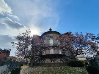 Ein historisches Gebäude umgeben von blühenden Kirschbäumen. Der Himmel ist blau mit einigen Wolken und die Sonne strahlt im Hintergrund.