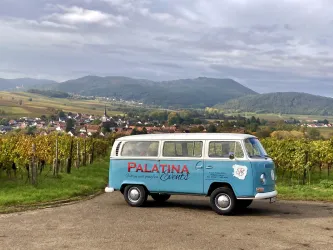 Ein vintage VW-Bus steht inmitten von Weinbergen mit sanften Hügeln im Hintergrund. Die Landschaft ist grün und einladend unter einem bewölkten Himmel.