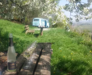 Ein schöner, sonniger Ort im Grünen mit einem alten Bulli im Hintergrund. Auf einem Holztisch stehen Gläser und eine Flasche, umgeben von frischem Gras und Blüten.