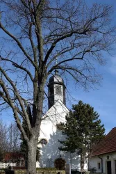 Landau-Dammheim Kirche (© Stadt Landau - BfT)