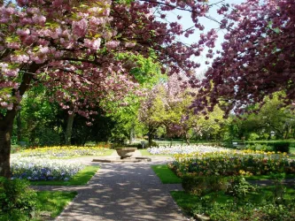 Ein schöner Park mit blühenden Kirschbäumen und bunten Blumenbeeten. Der Weg führt zu einem kleinen Brunnen in der Mitte.