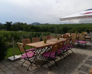Terrasse mit Blick zur Kalmit (© Weingut Vögeli)