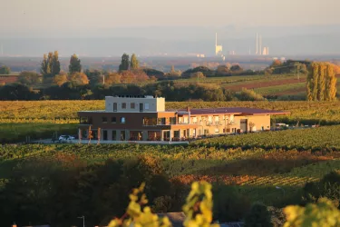 Vögelis Weinnest