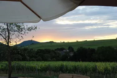 Ausblick Terrasse Weingut Vögeli