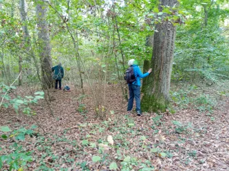 Zwei Personen stehen im Wald zwischen Bäumen und Laub. Sie scheinen die Umgebung zu erkunden oder zu untersuchen.