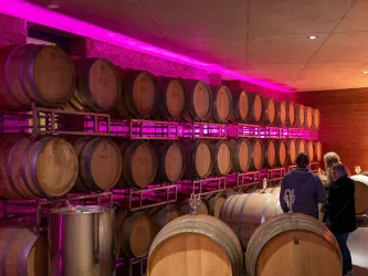 Eine moderne Weinkellerei mit Holzfässern. Sanfte, rosa Beleuchtung sorgt für eine gemütliche Atmosphäre.