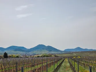 Weindorf Landau Godramstein, Bauer 2023, https://www.powpau.de/