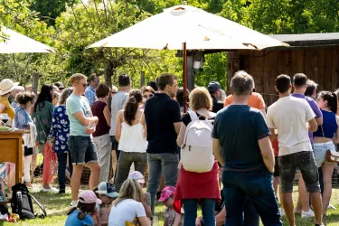Alpakafest_ (© BiolandWeingut Stefan Kuntz)