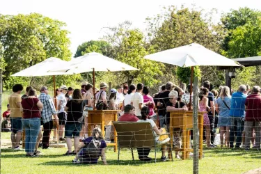 Alpaka Schur Fest (© BiolandWeingut Kuntz in Landau-Mörzheim)
