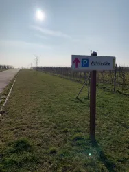 Ein Parkplatz für Wohnmobile mit einem Schild, das nach oben zeigt. Im Hintergrund sind Weinreben und ein klarer Himmel zu sehen.