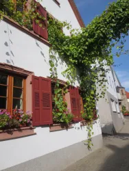 Ein charmantes Haus mit roten Fensterläden. Grünes Efeu wächst an der Wand und blühende Pflanzen schmücken die Fenster.