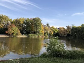 Der Schwanenweiher in Landau