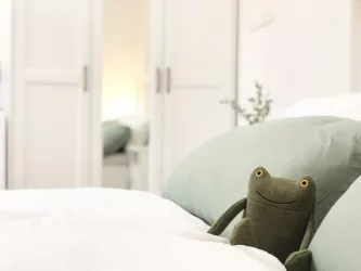 Unser erster Gast - der Quächemer Frosch