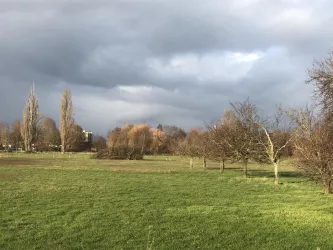 Die Schafwiesen vor der Haustür