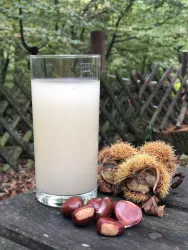 Wandern 🥾 im Pfälzerwald macht glücklich